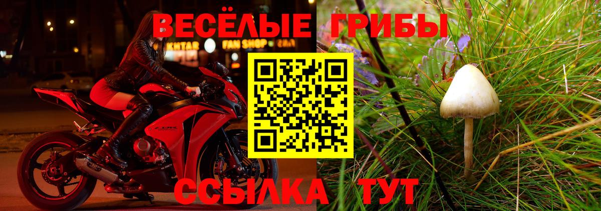 Галлюциногенные грибы Magic Shrooms  Вход с VPN  Малгобек 